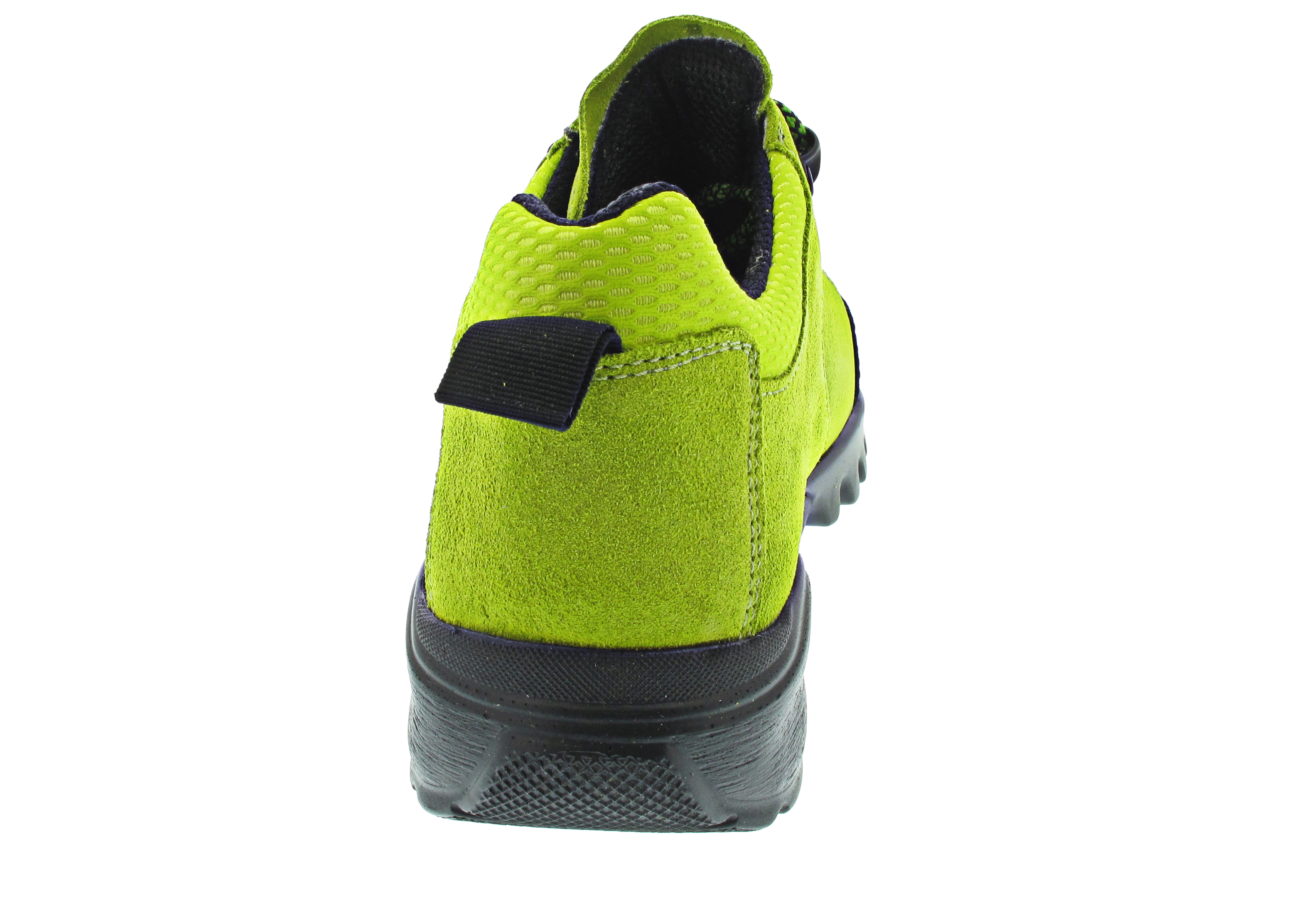 Waldläufer H-Amiata