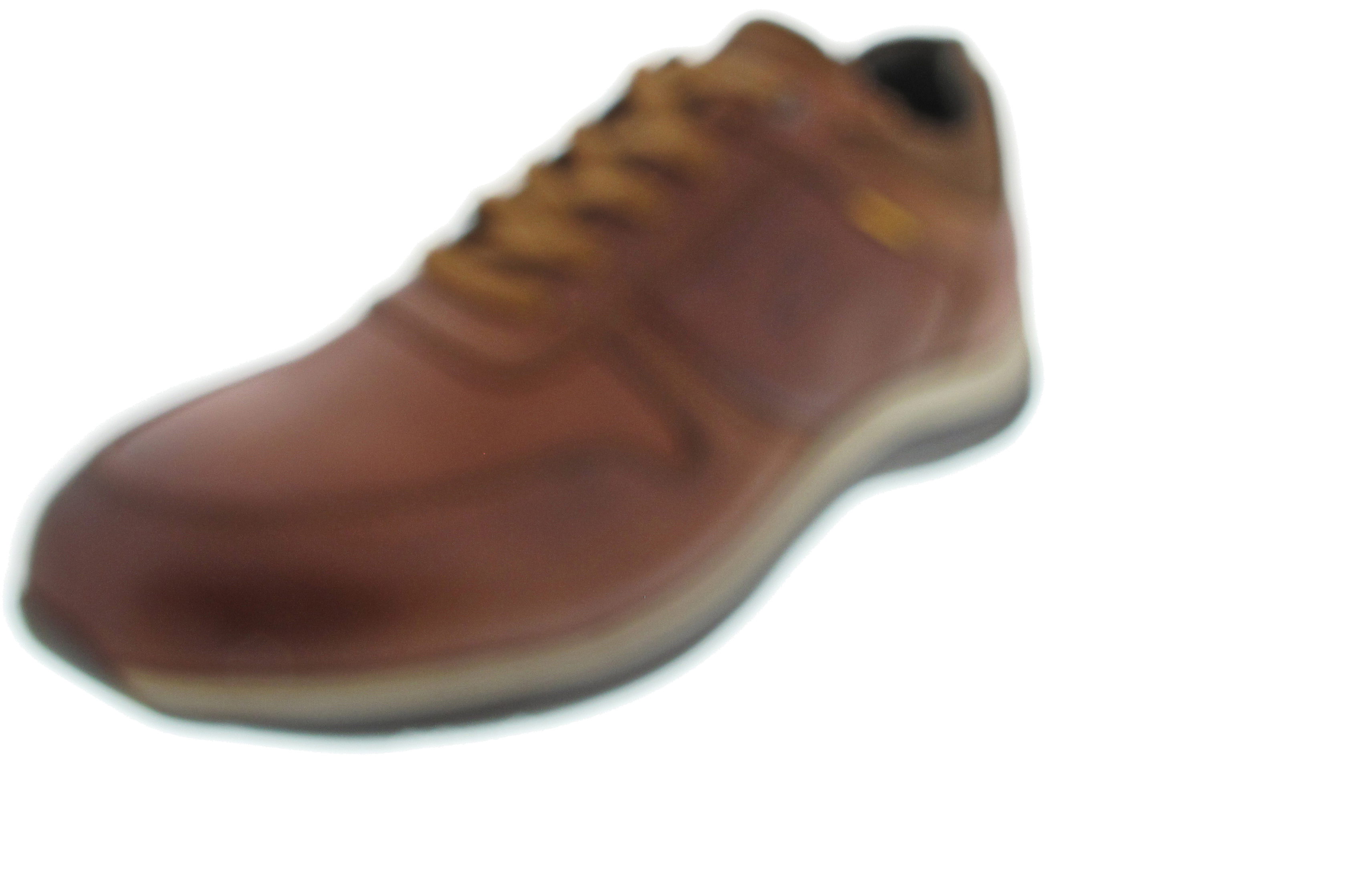 Camel Active