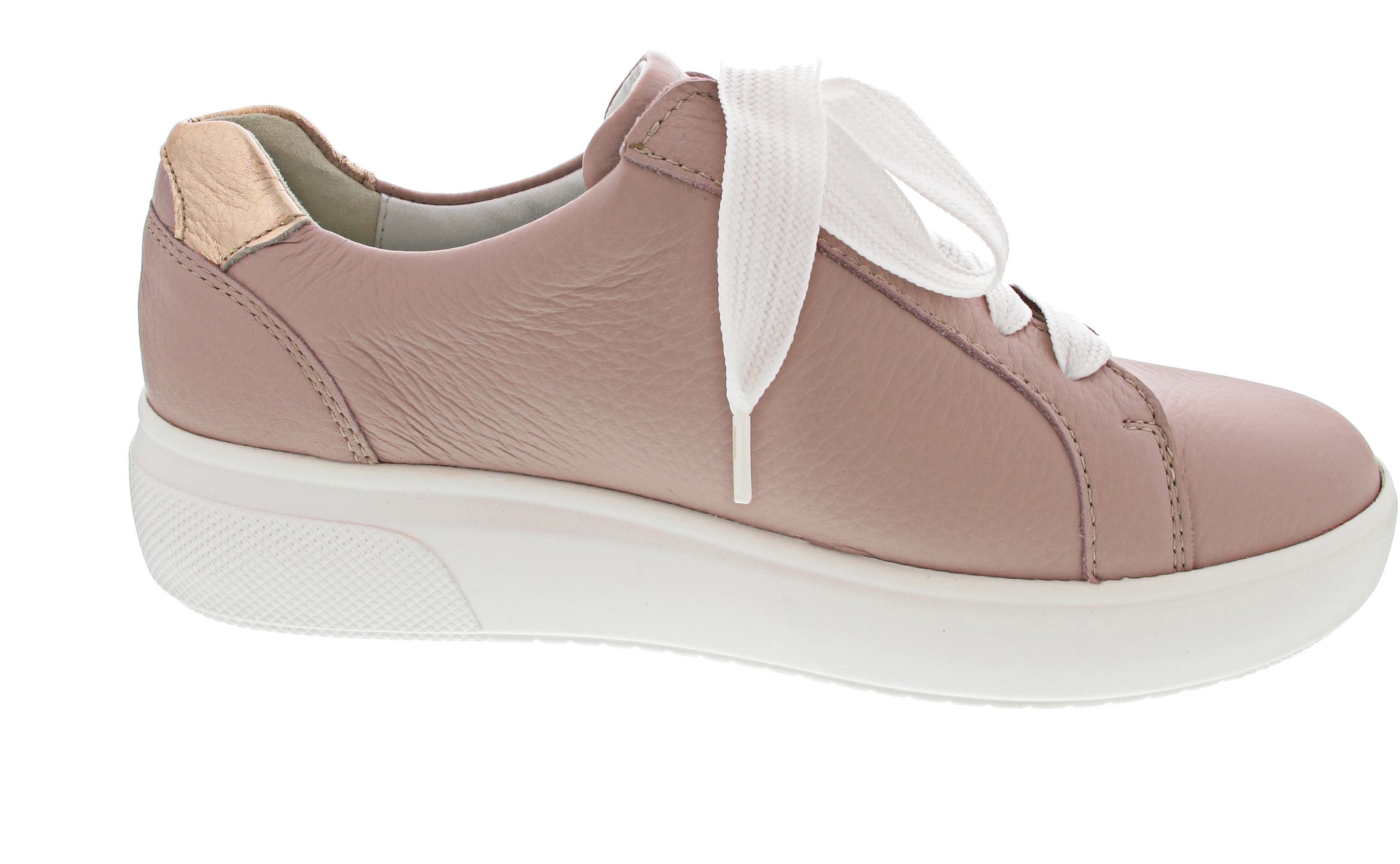 Waldläufer H-Vivien