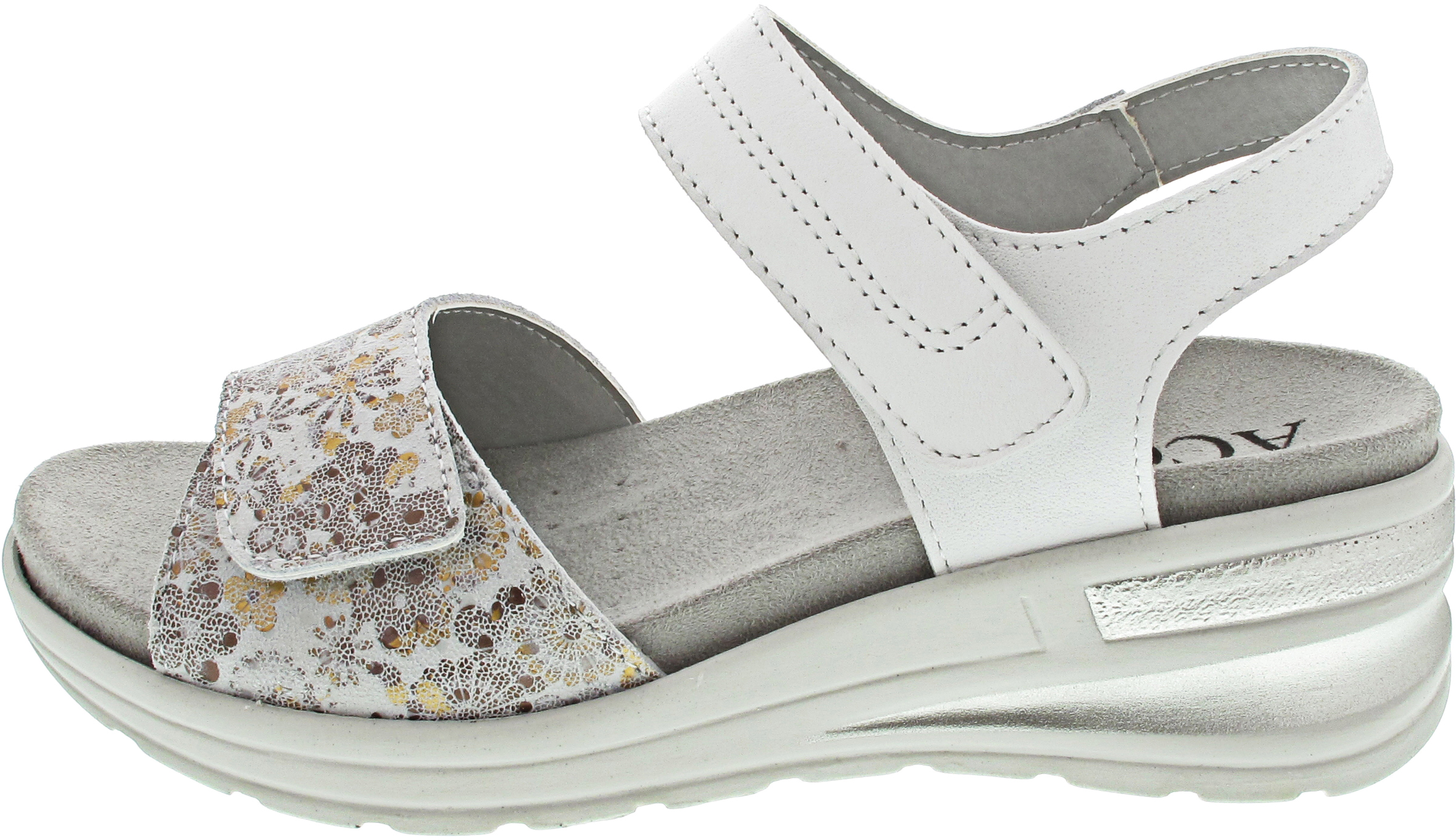 ACO Coral 02