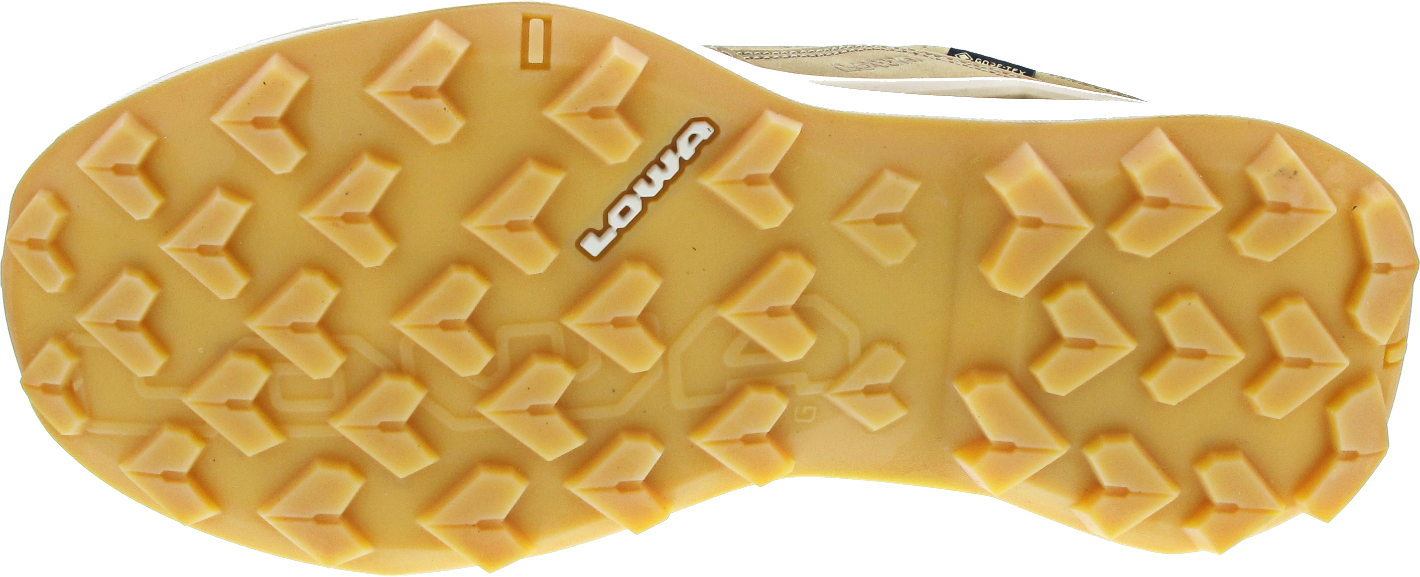Lowa Maddox Pro LT GTX Lo