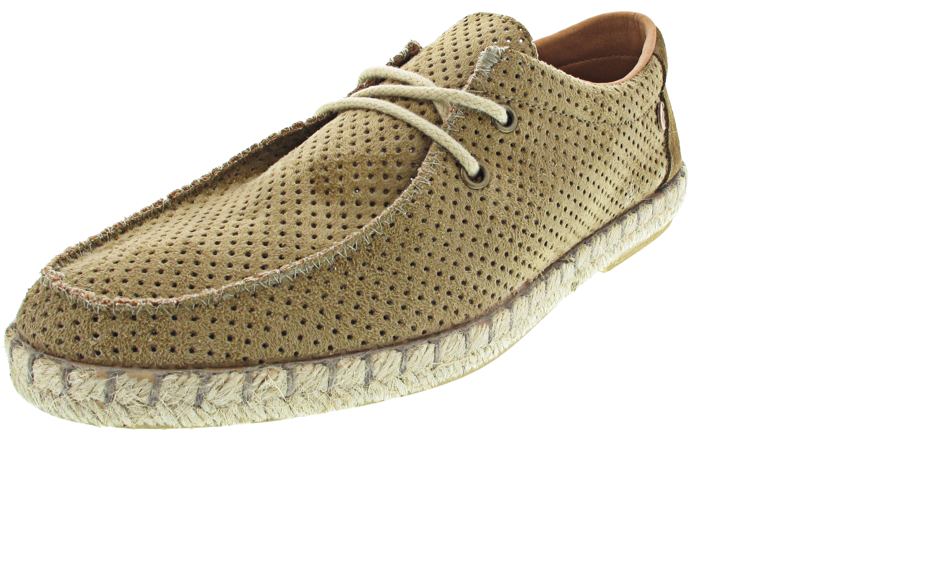 Verbenas Truman Hole