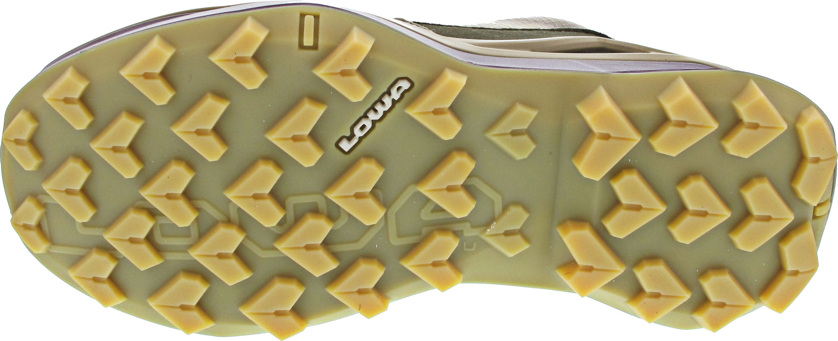 Lowa Maddox Pro GTX Lo SL Ws
