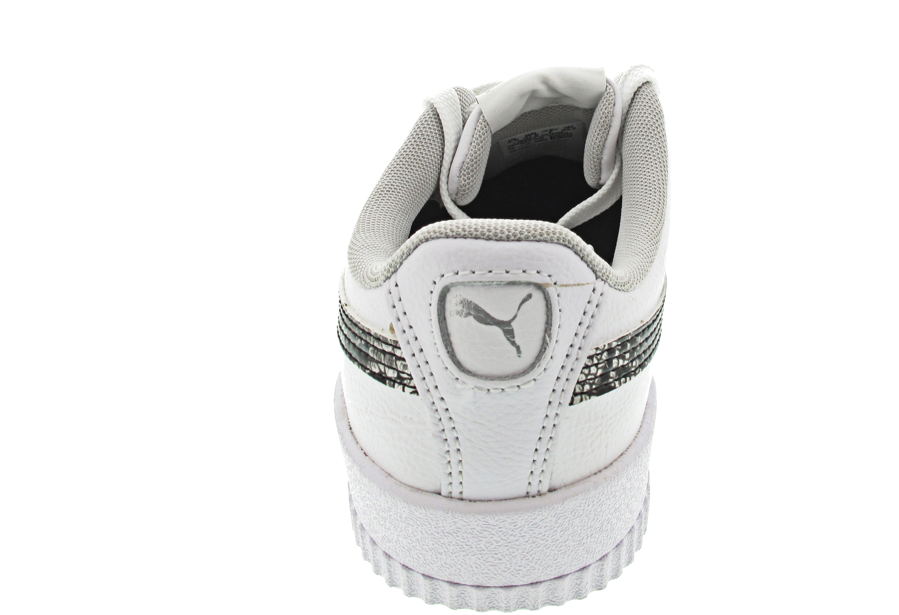 Puma Carina L Snake