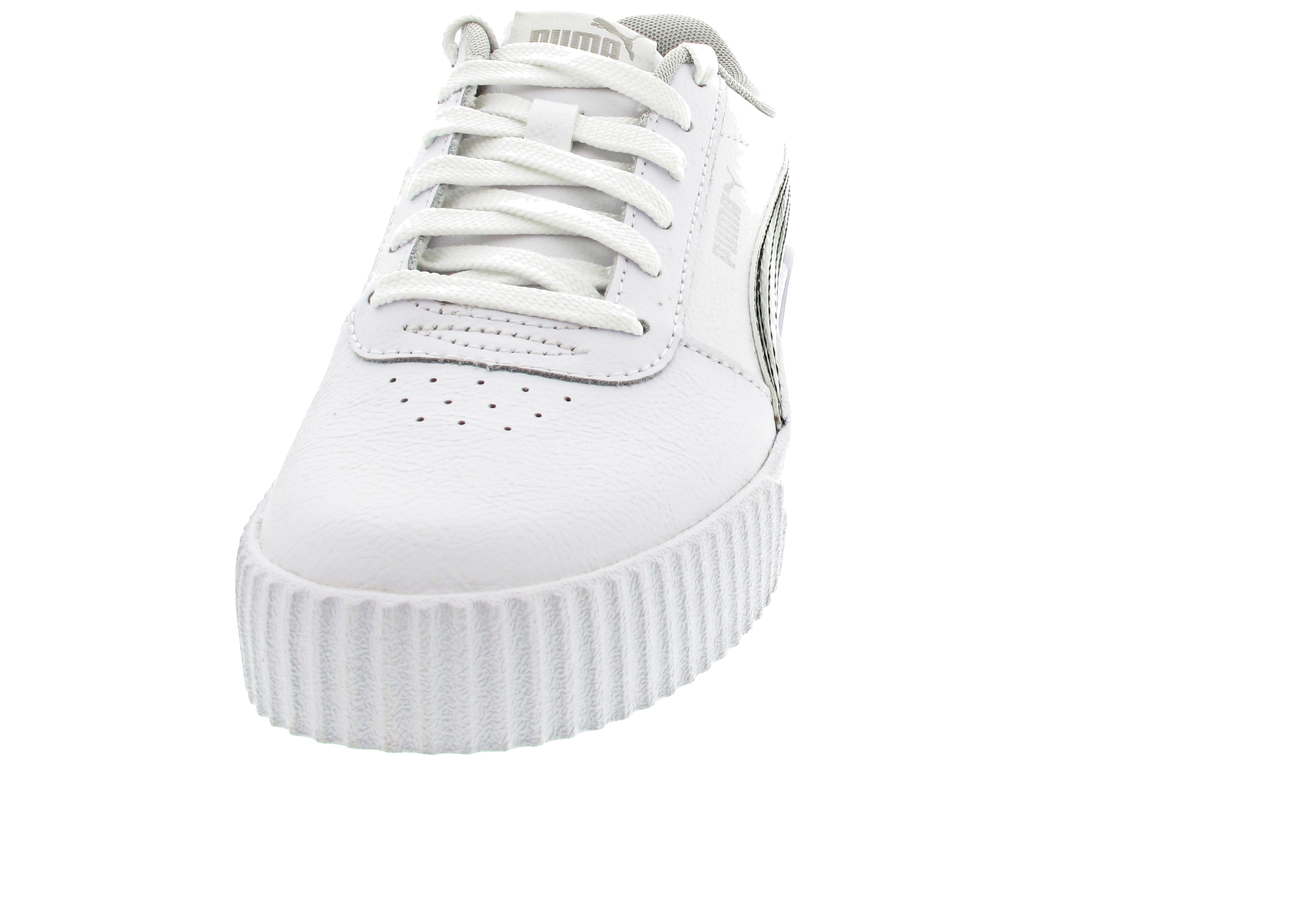 Puma Carina L Snake