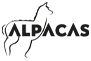 Alpacas