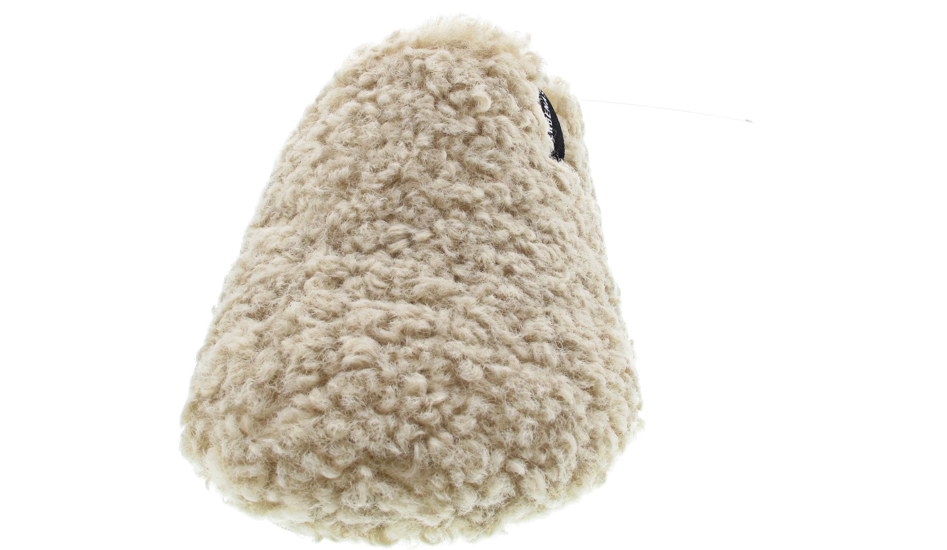 Verbenas York Curly
