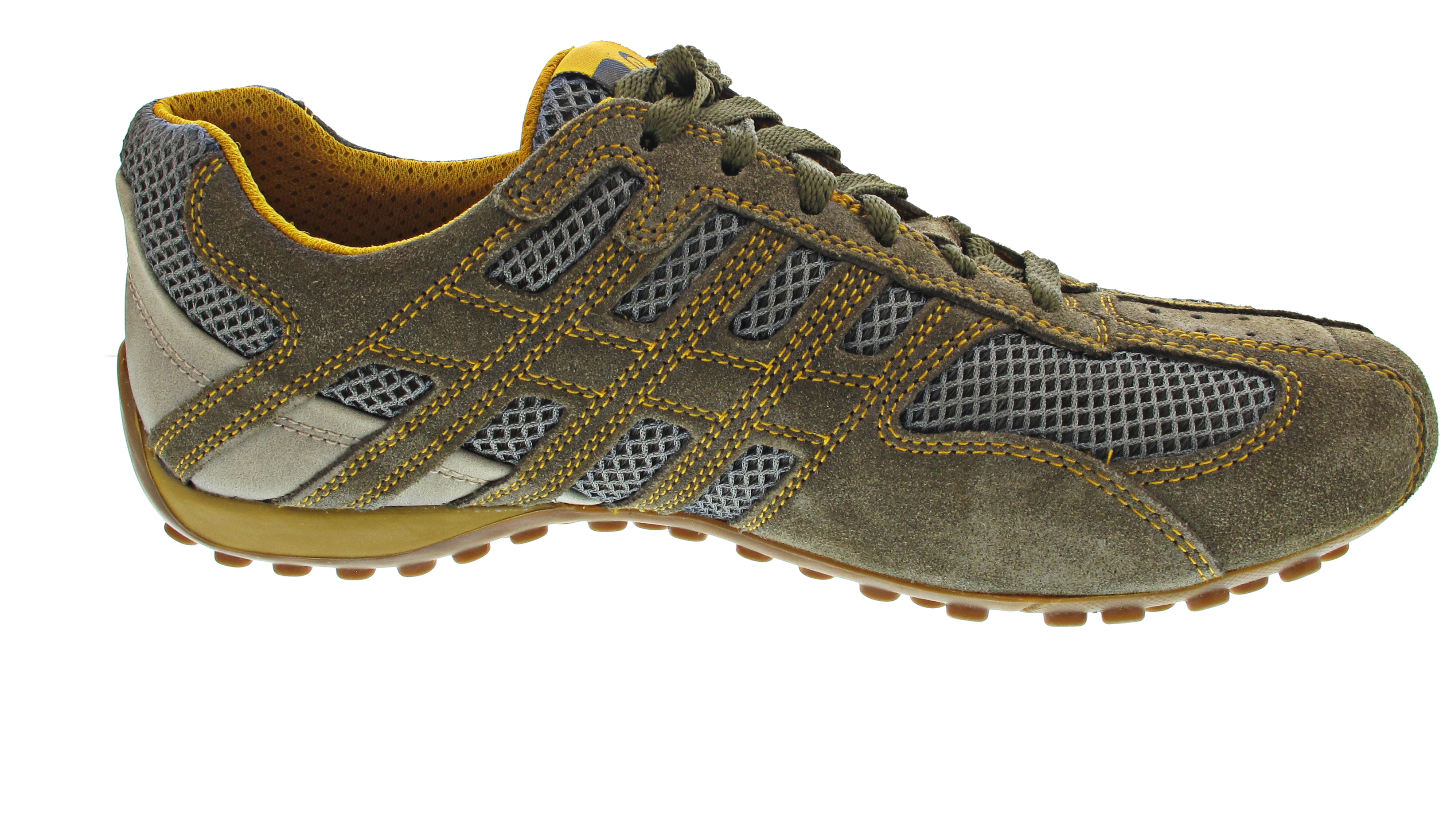 Geox Snake