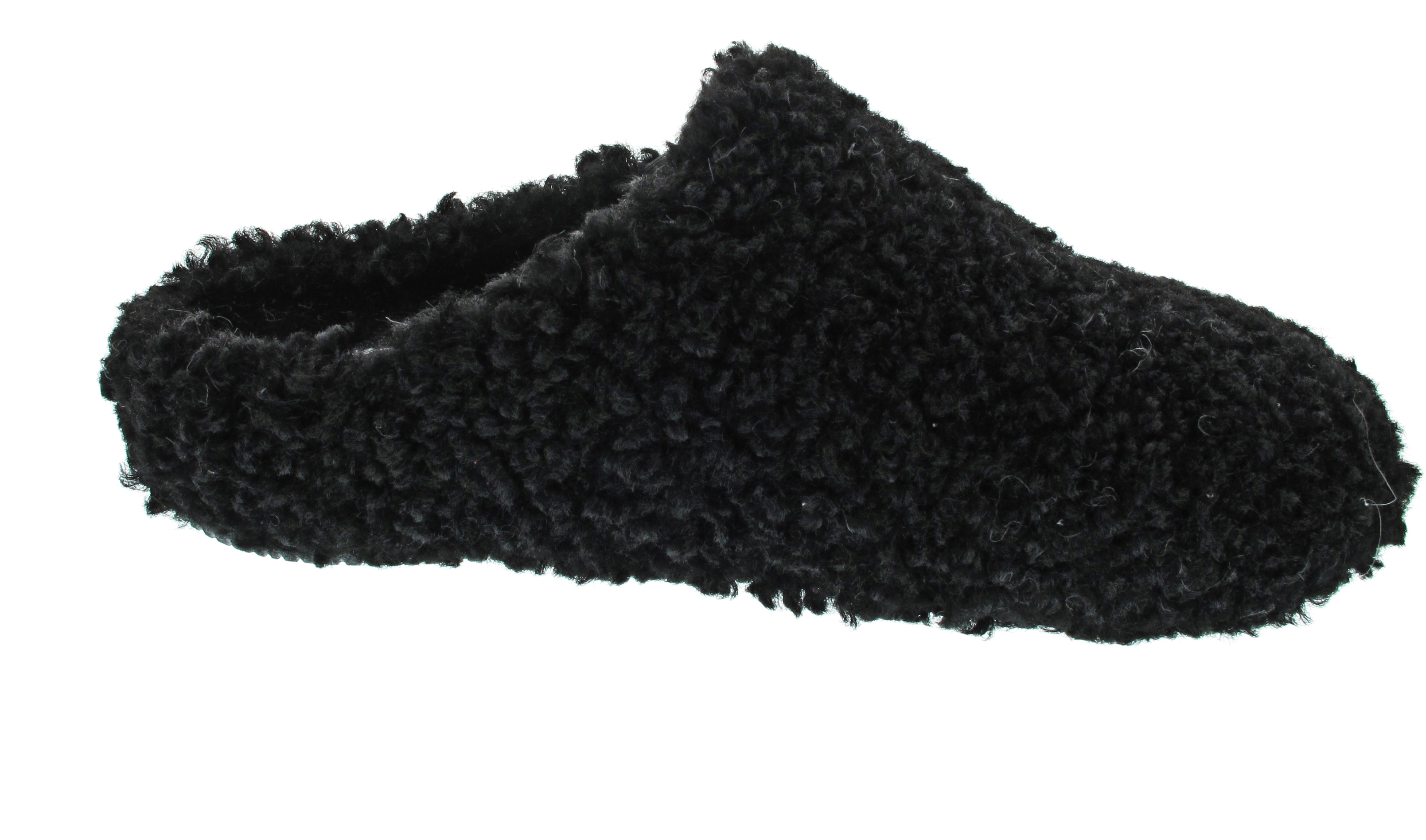 Verbenas York Curly