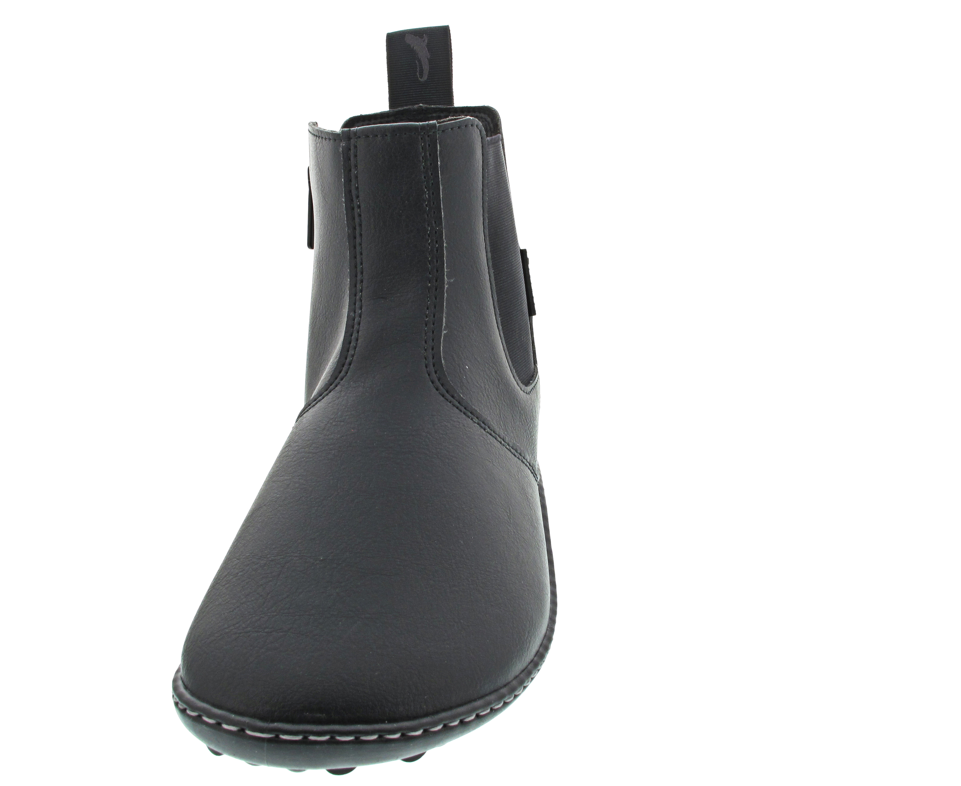 Leguano Bareboot