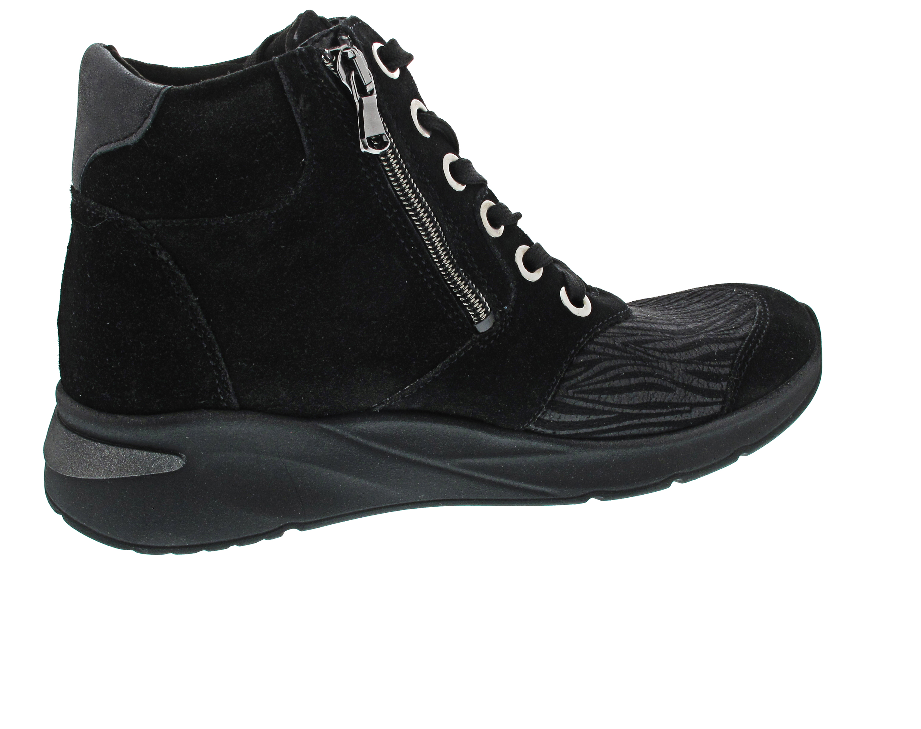 Waldläufer H-Dilara