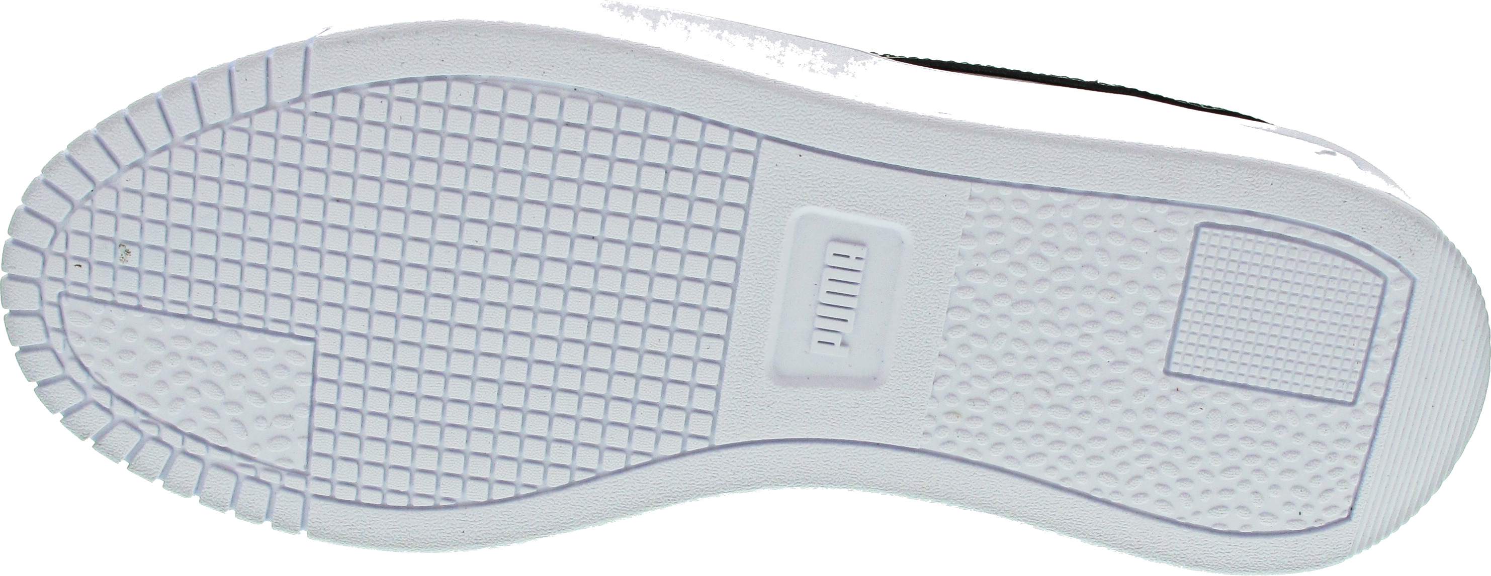 Puma Carina Street
