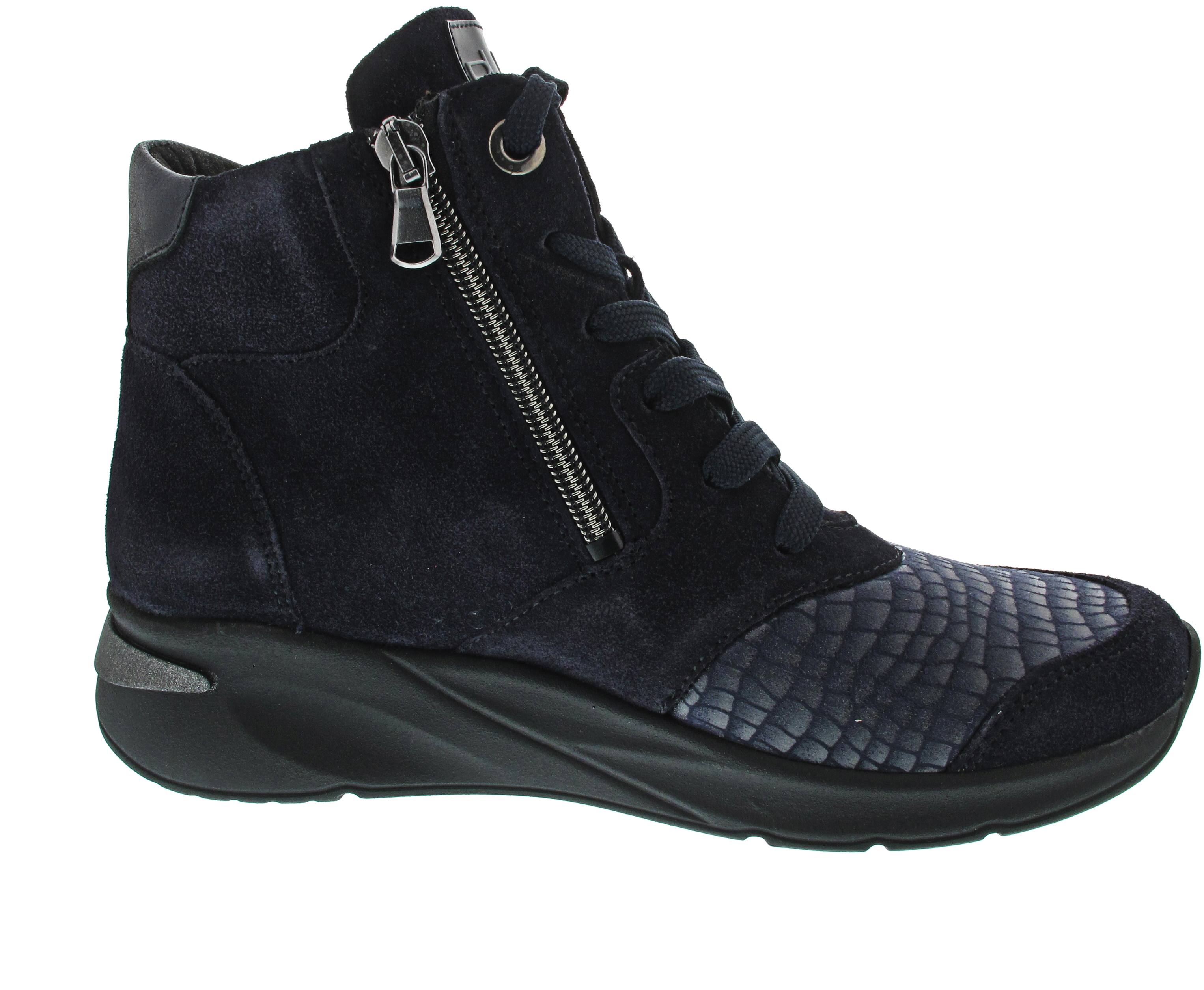 Waldläufer H-Dilara