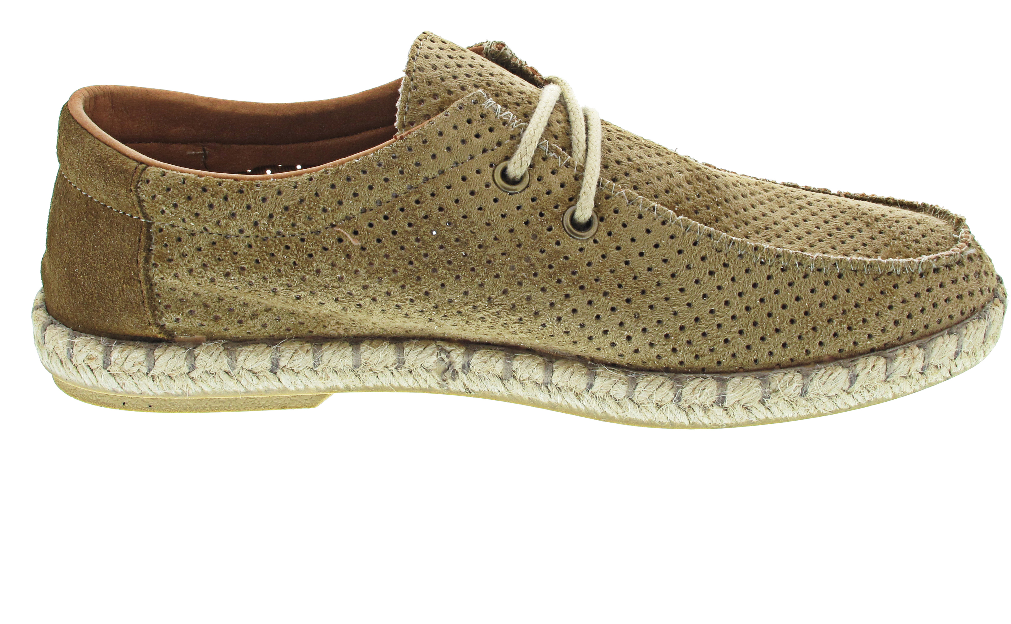 Verbenas Truman Hole