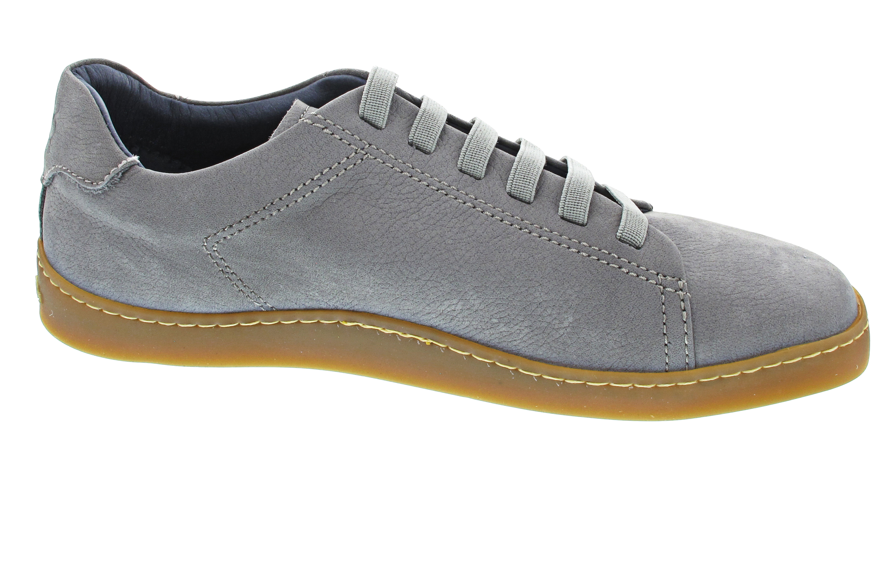 El Naturalista Origen