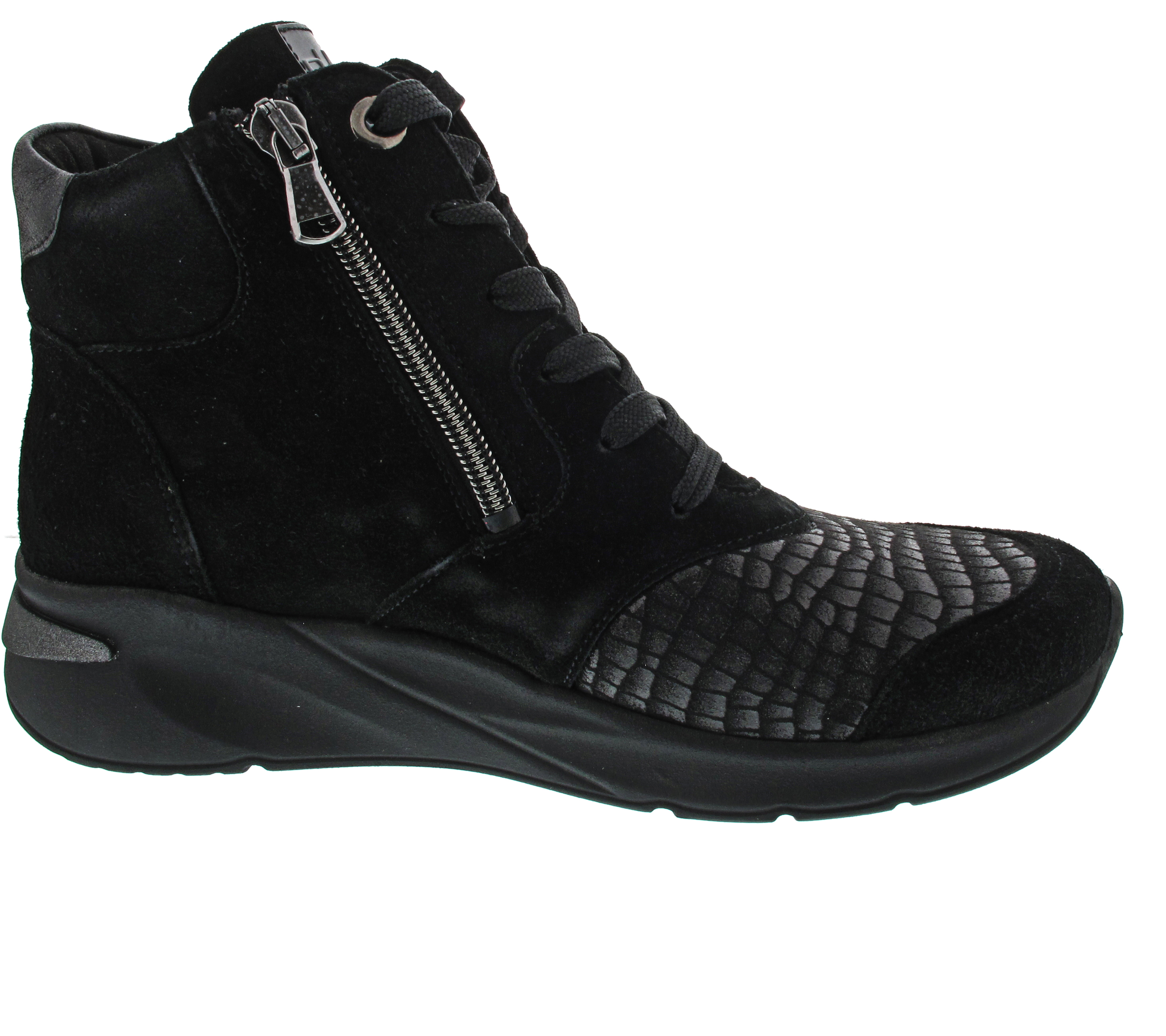 Waldläufer H-Dilara