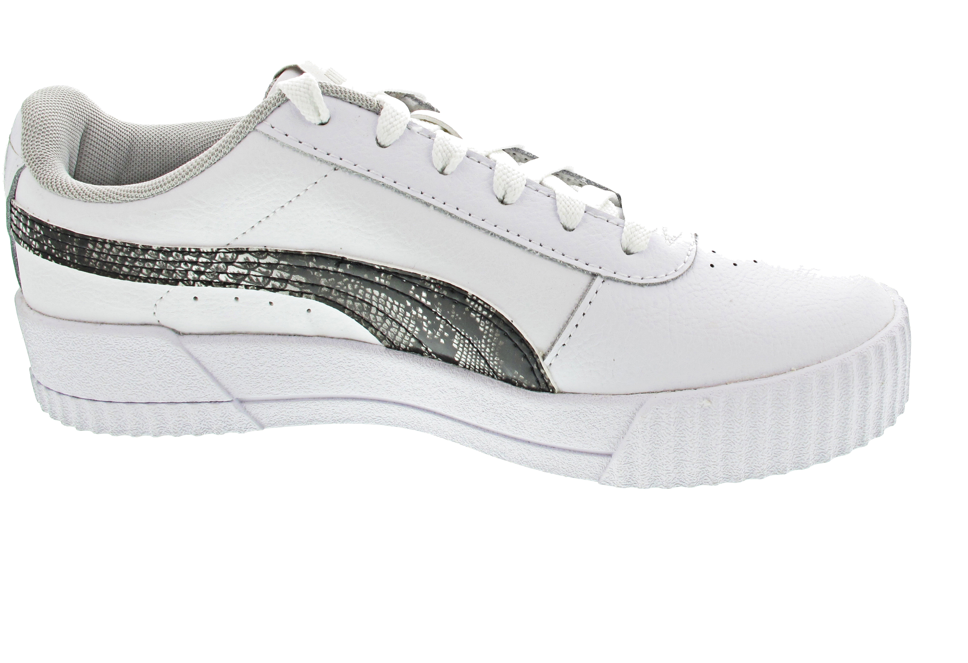 Puma Carina L Snake