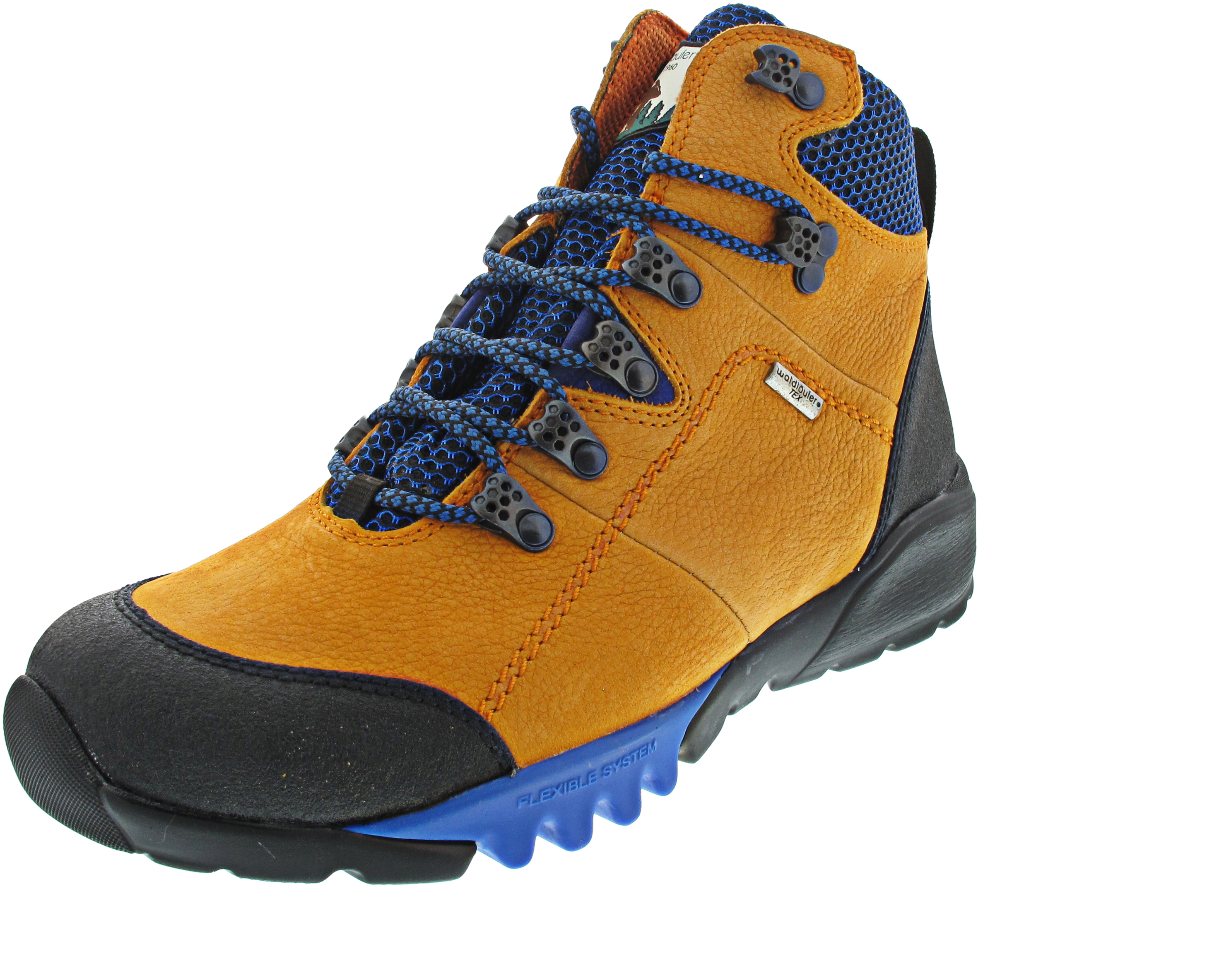 Waldläufer H-Amiata