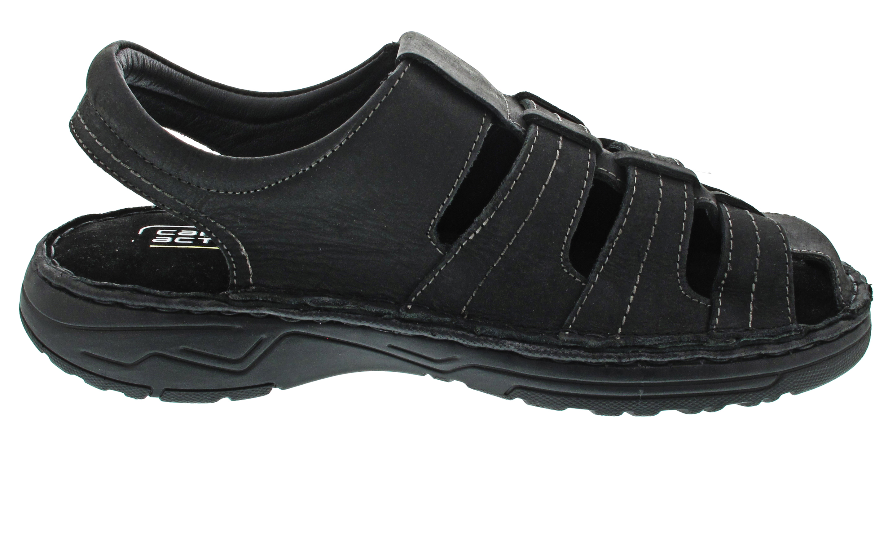Camel Active