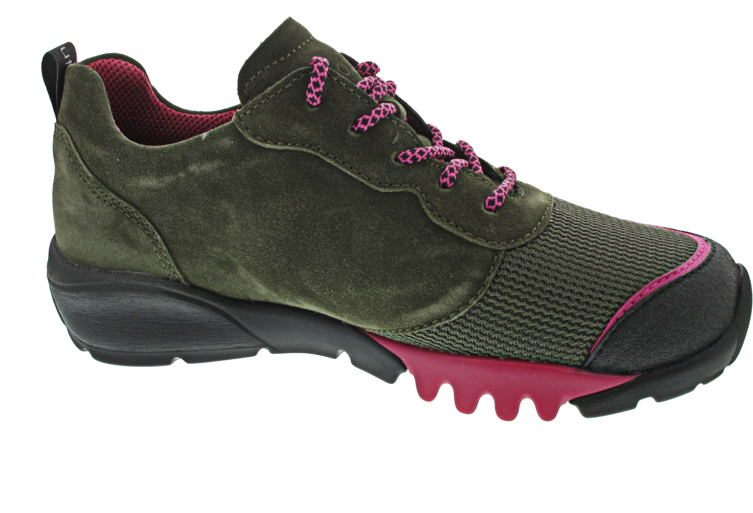 Waldläufer H-Amiata