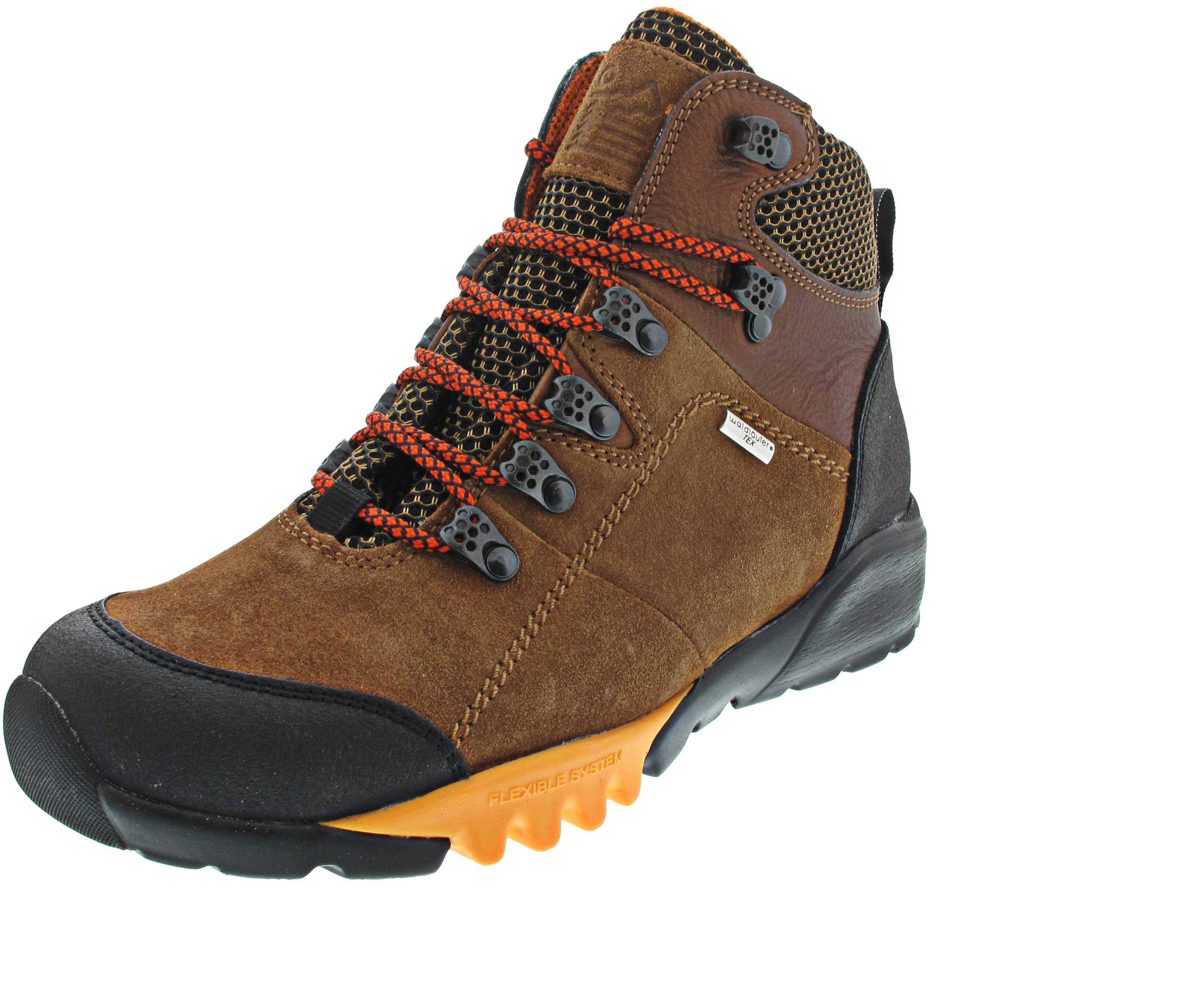 Waldläufer H-Amiata