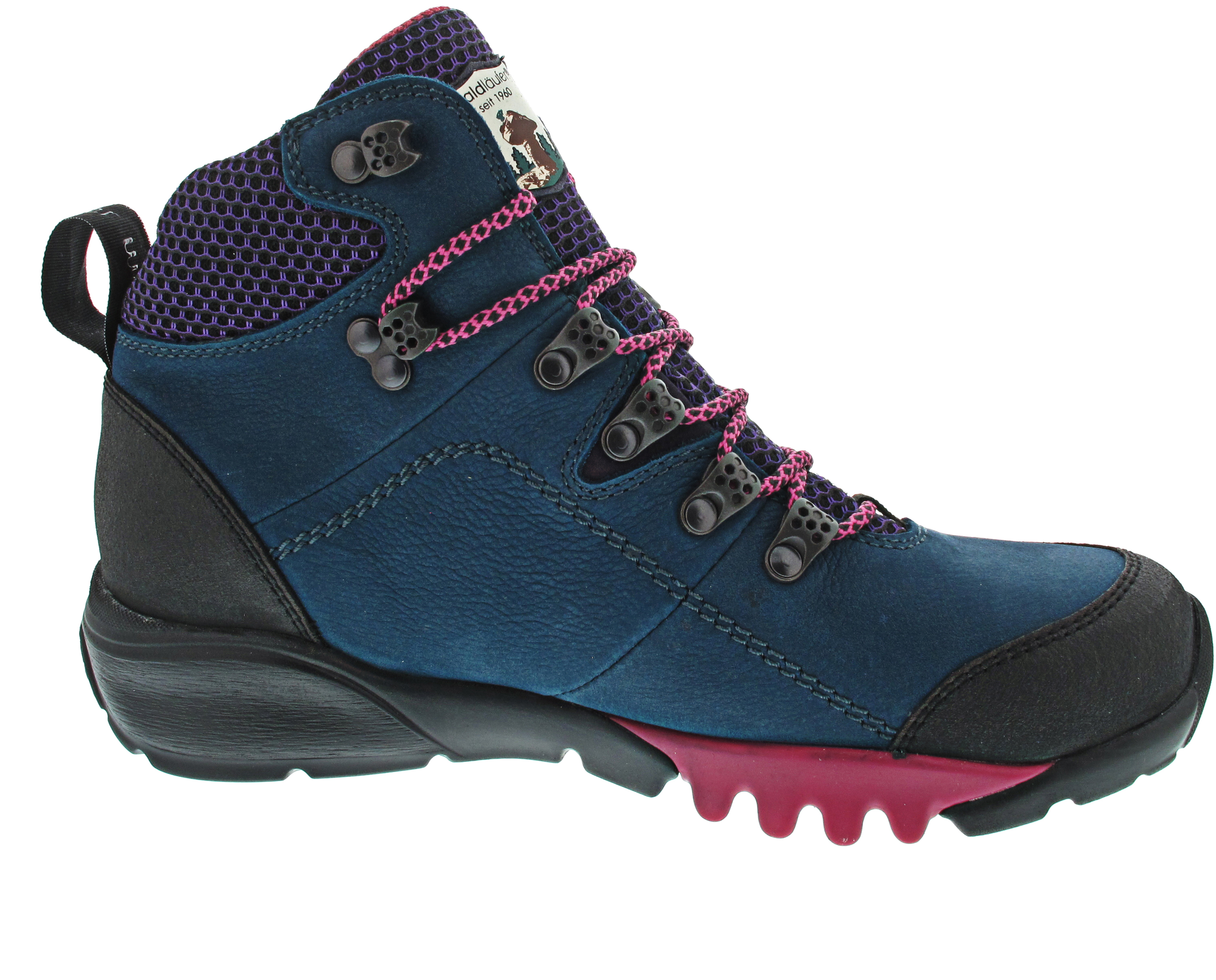 Waldläufer H-Amiata