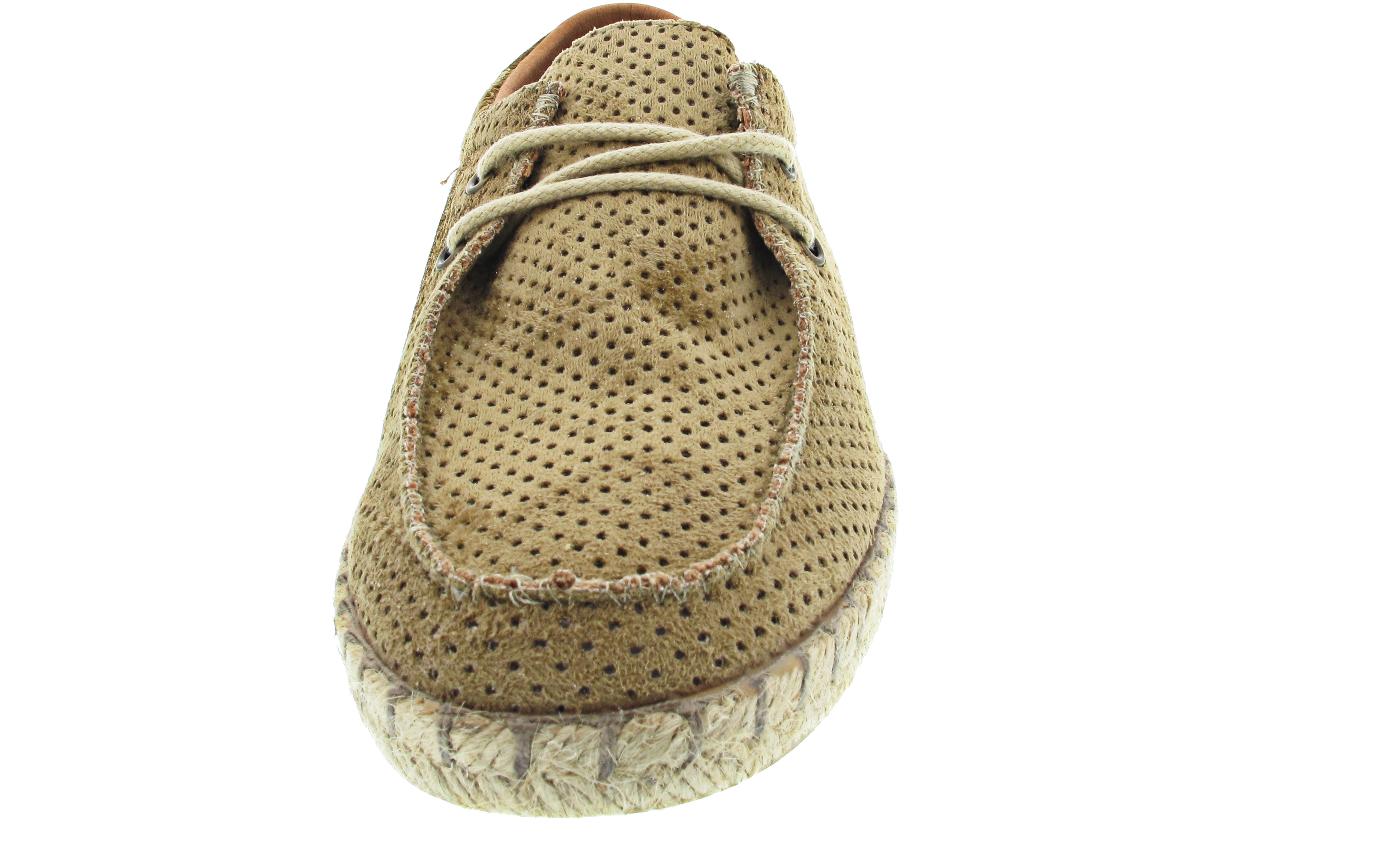 Verbenas Truman Hole