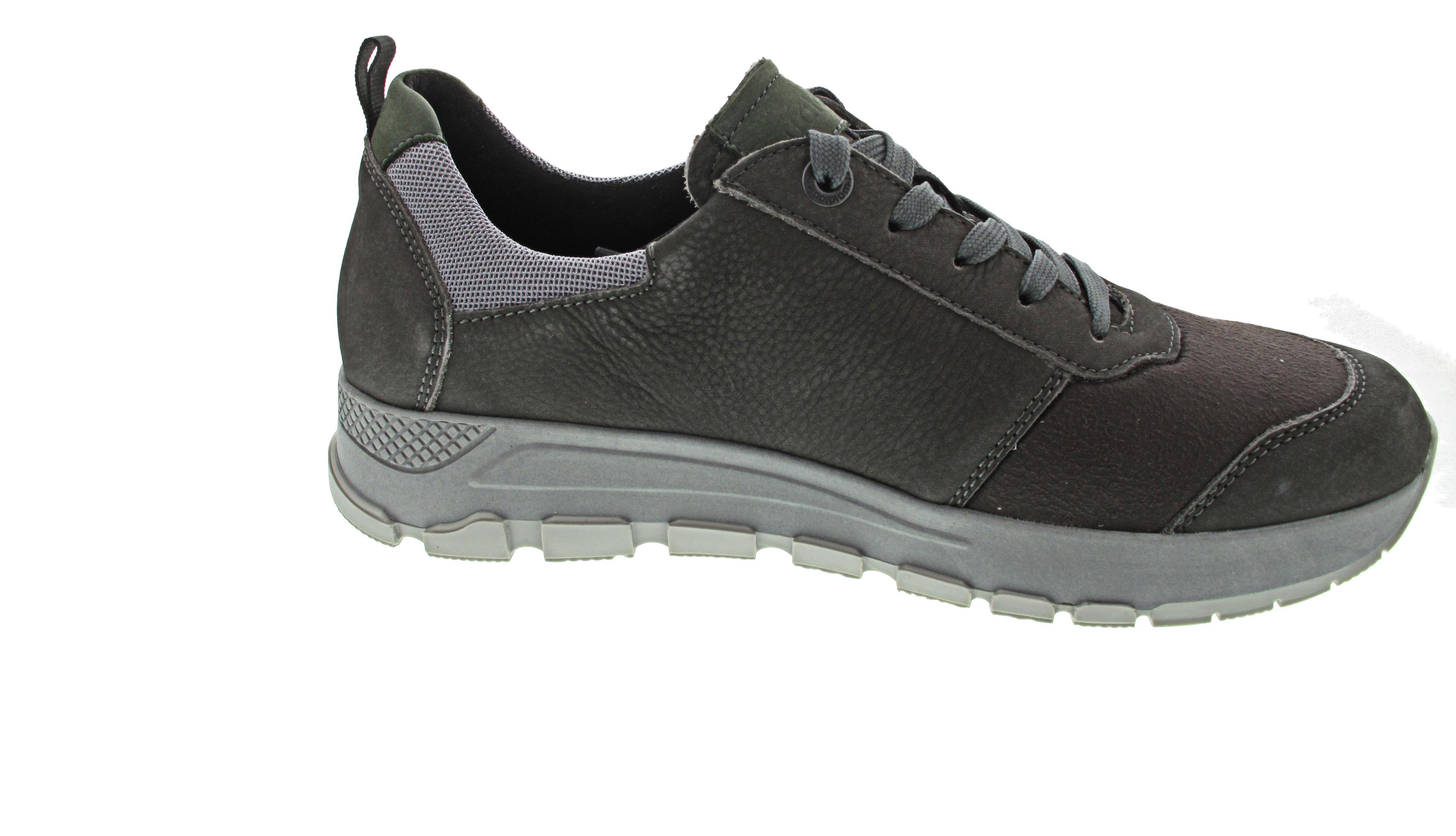 Waldläufer H-Richard