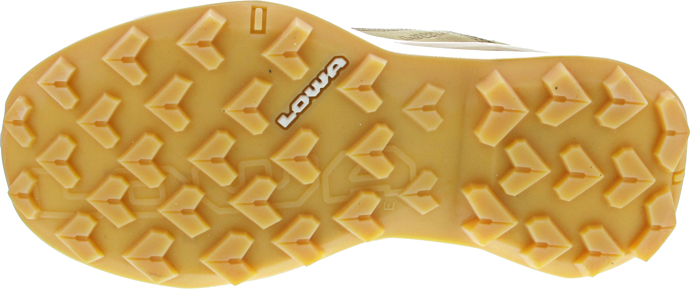 Lowa Maddox Pro LT Lo