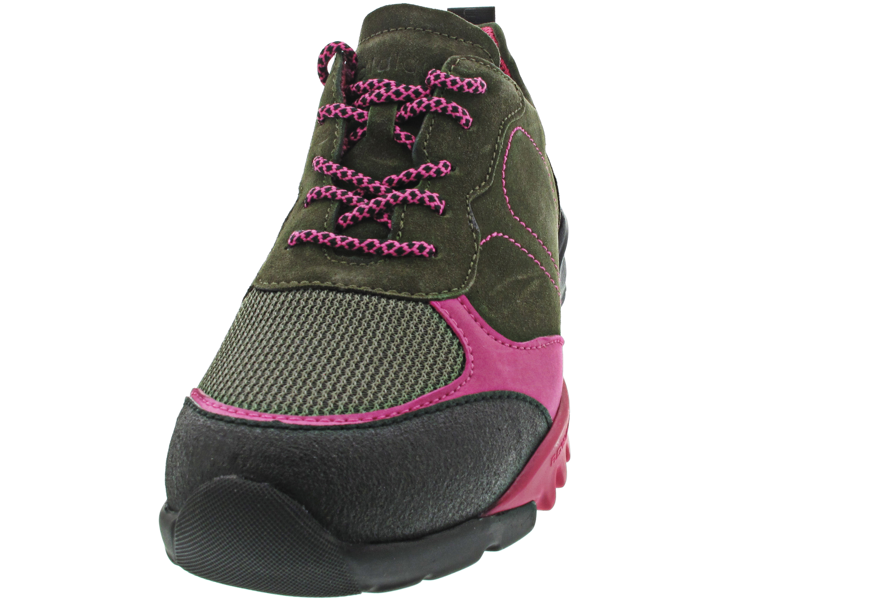 Waldläufer H-Amiata