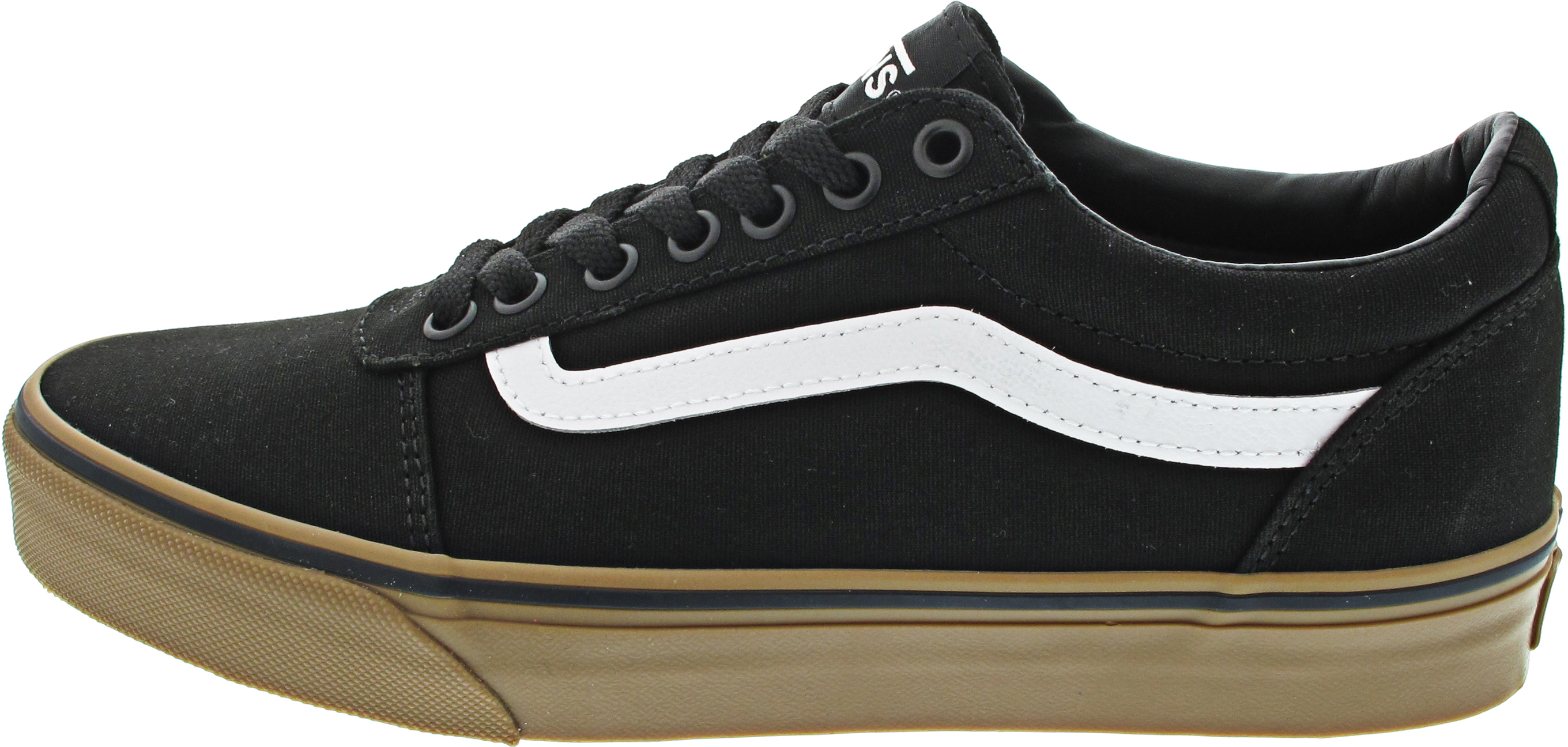 Vans MN Ward