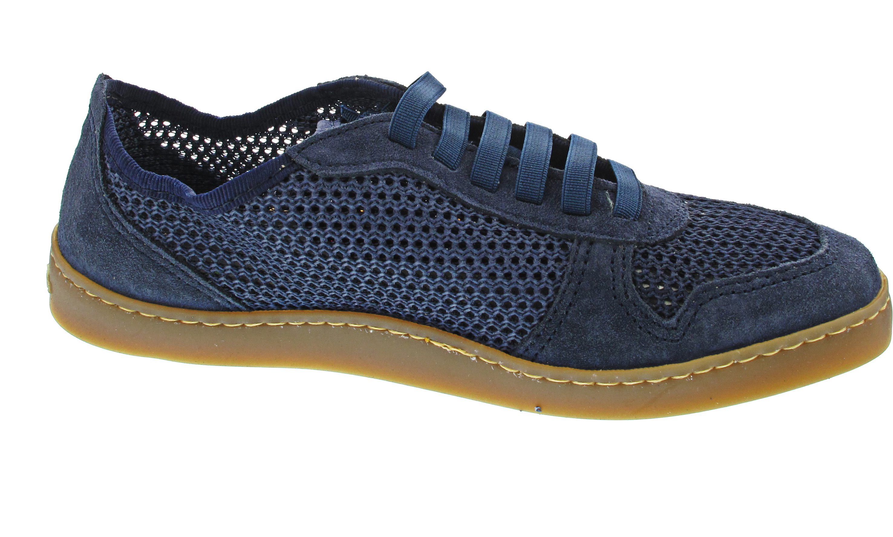 El Naturalista Origen