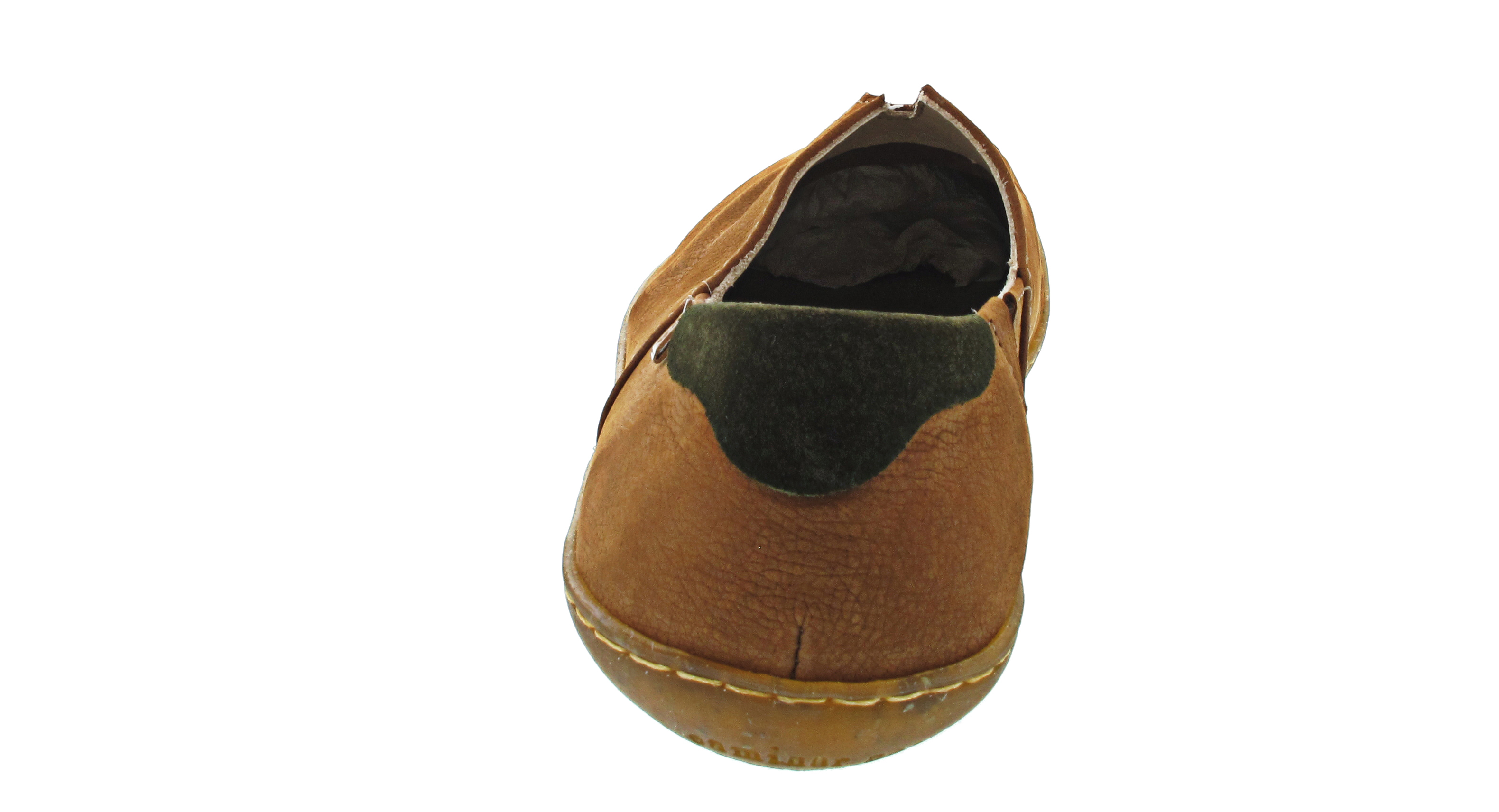 El Naturalista El Viajero