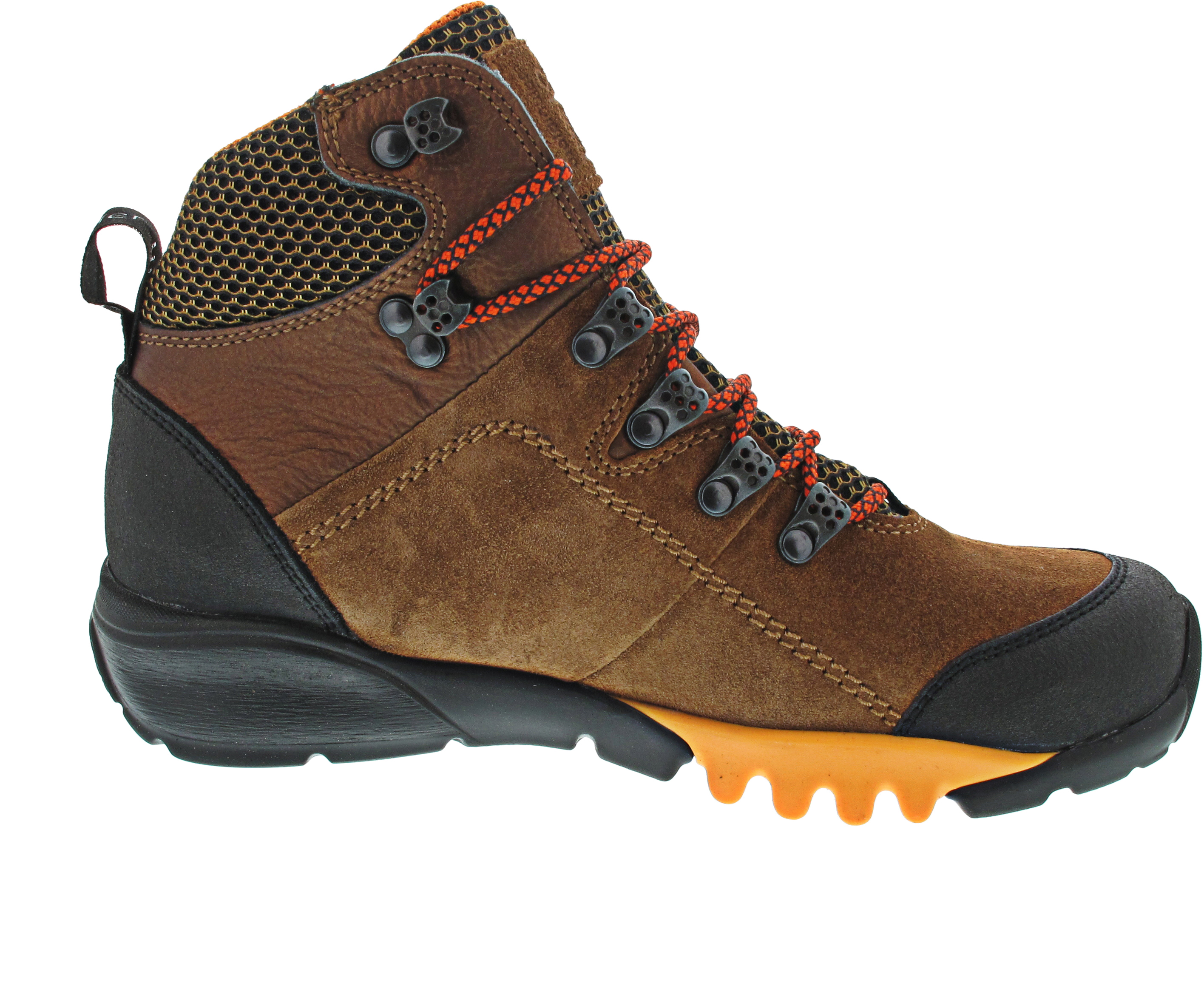 Waldläufer H-Amiata