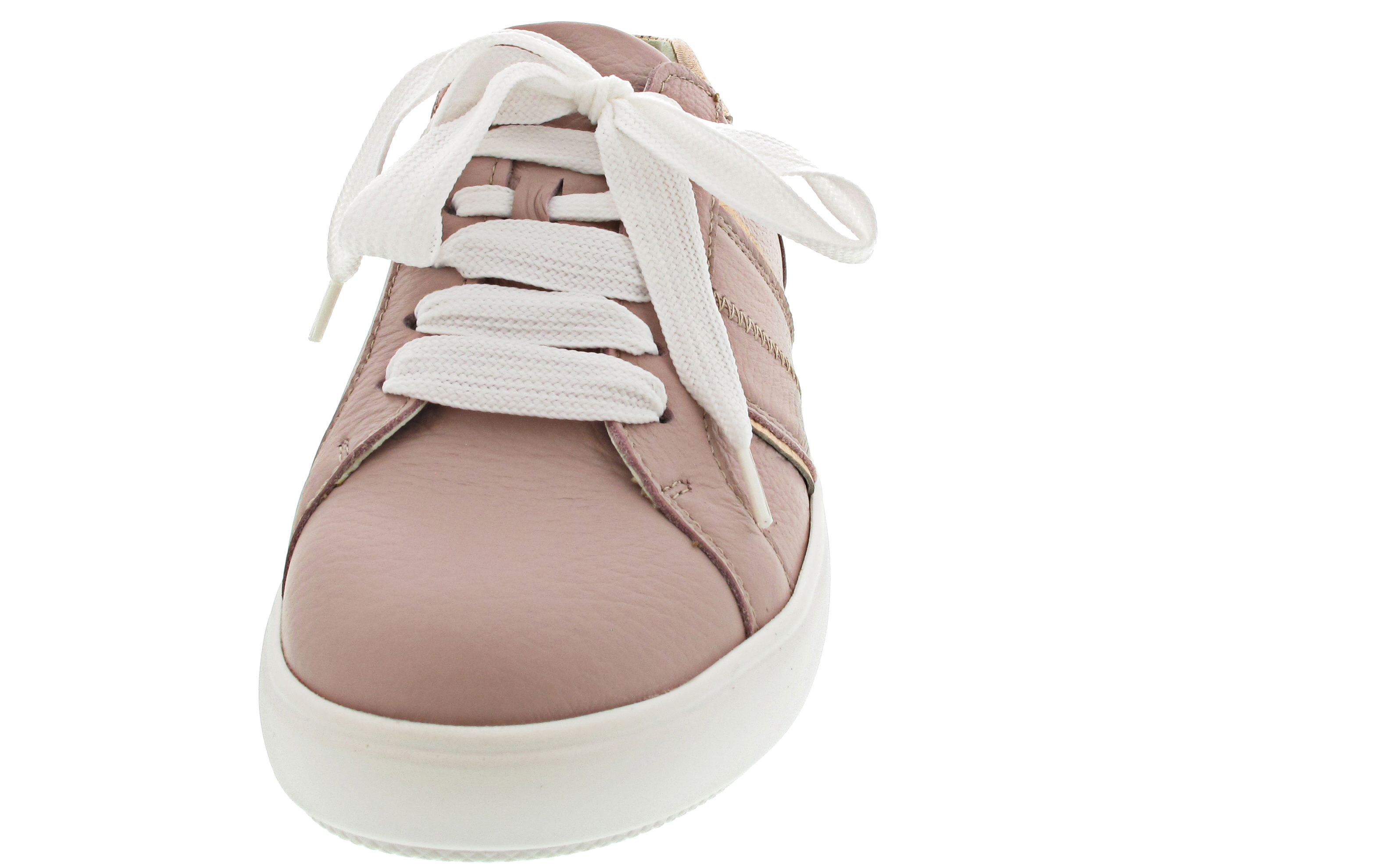 Waldläufer H-Vivien