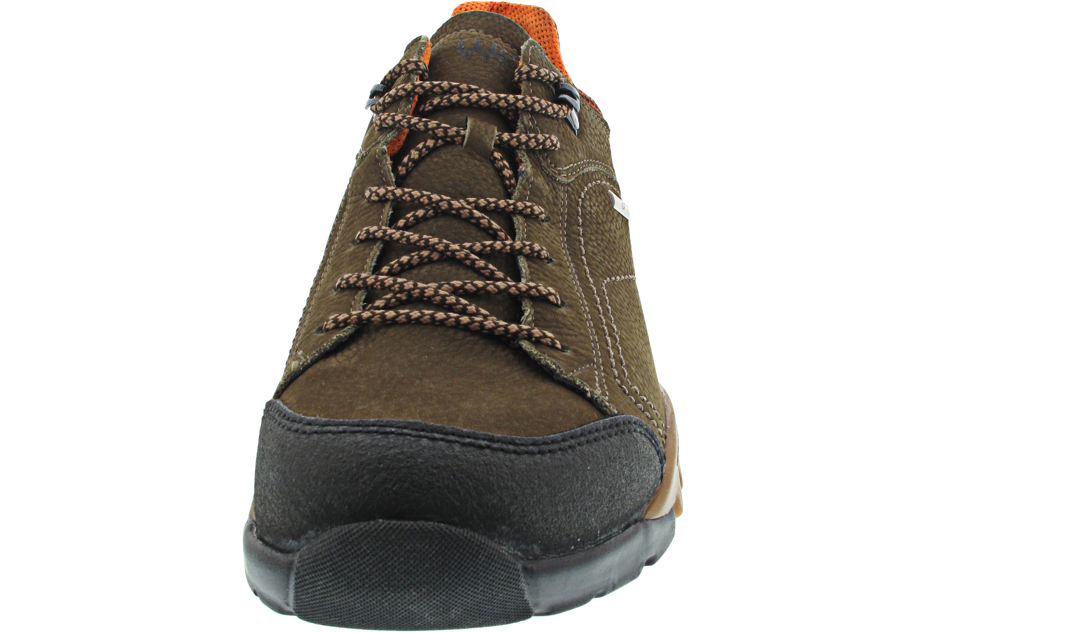 Waldläufer H-Fritz Waldläufer H-Fritz