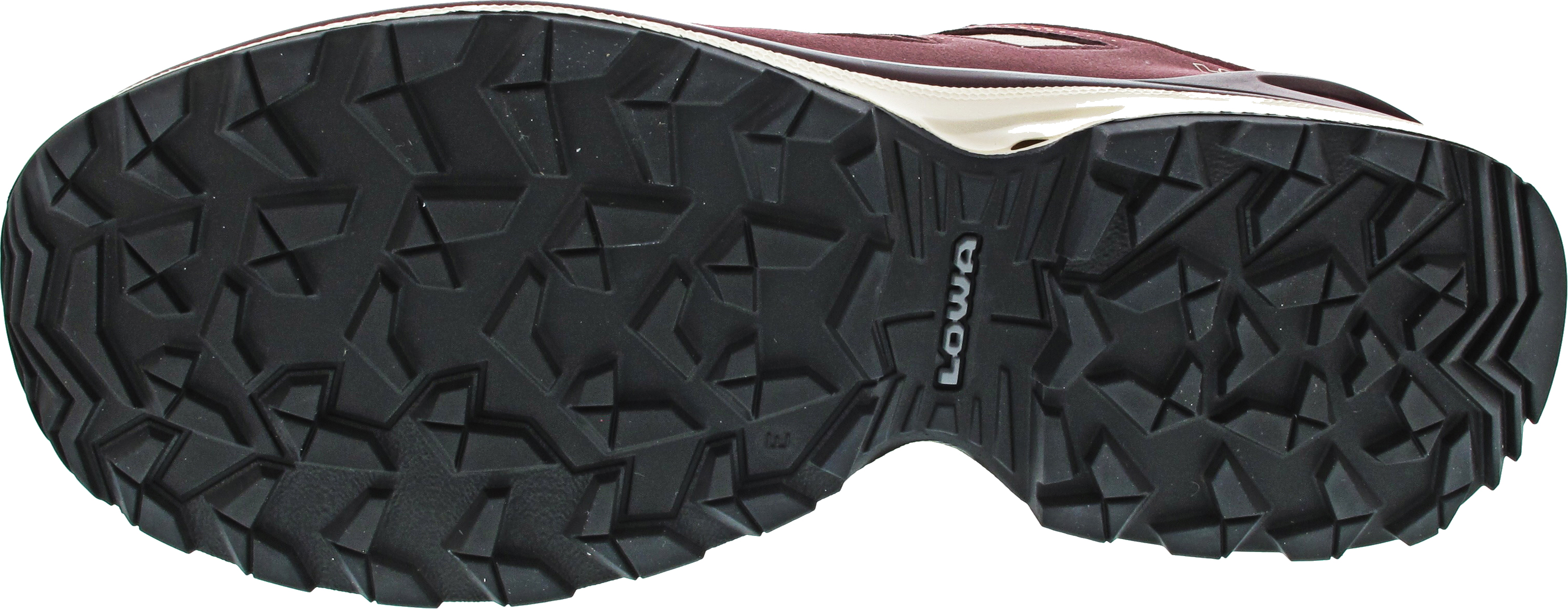 Lowa Innox EVO II GTX Ws