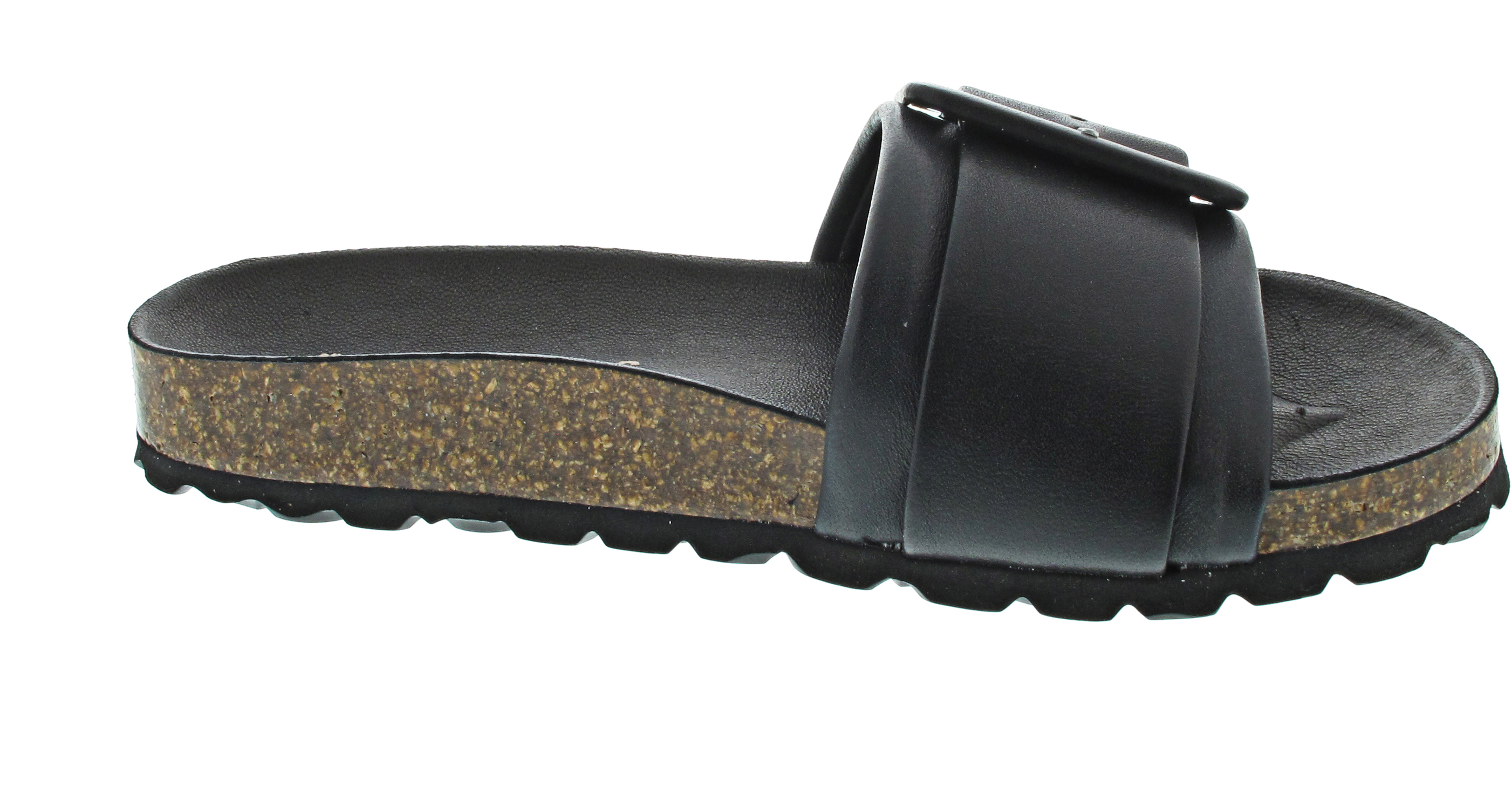 Verbenas Reiko Ecobrush