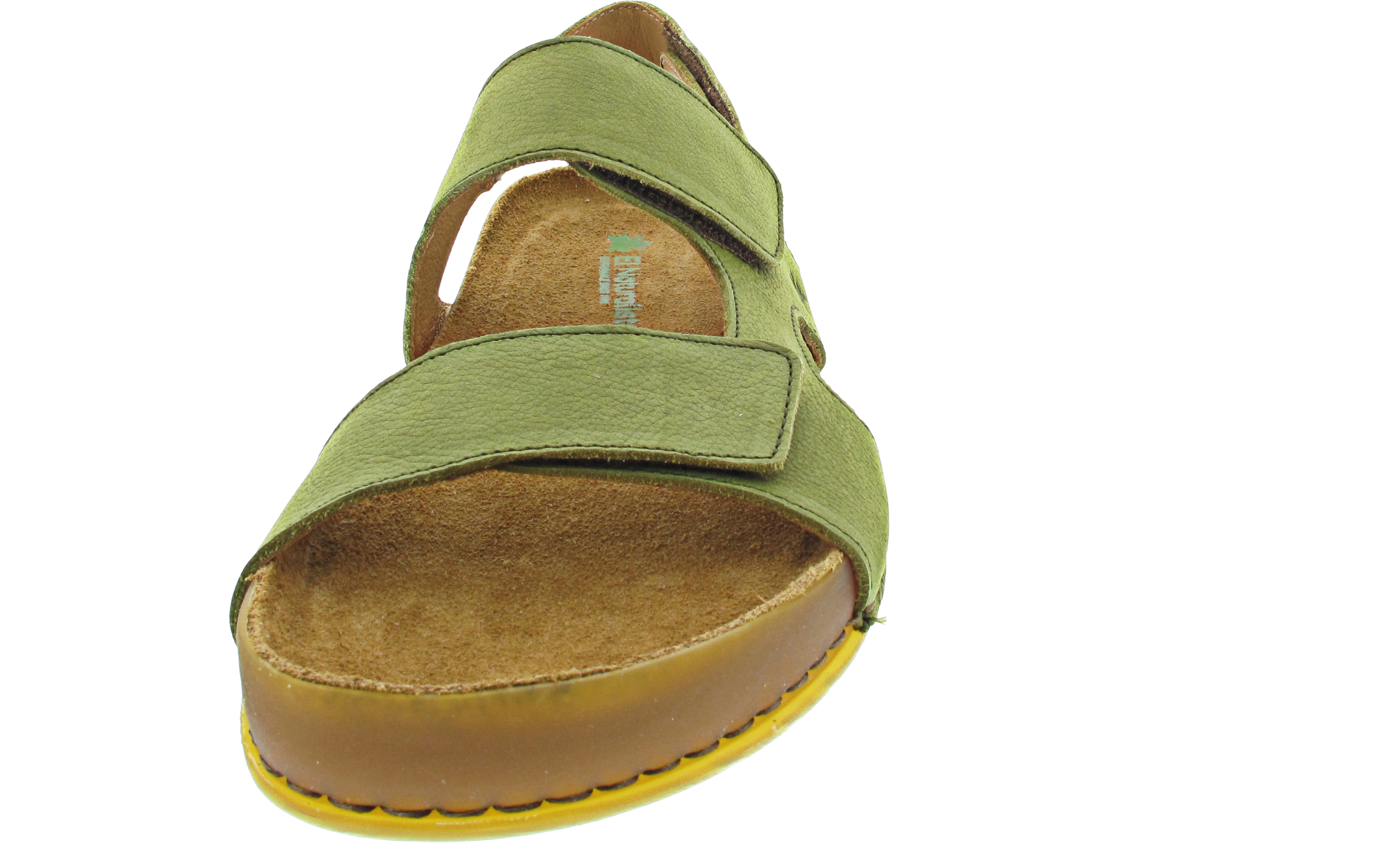 El Naturalista Horizon