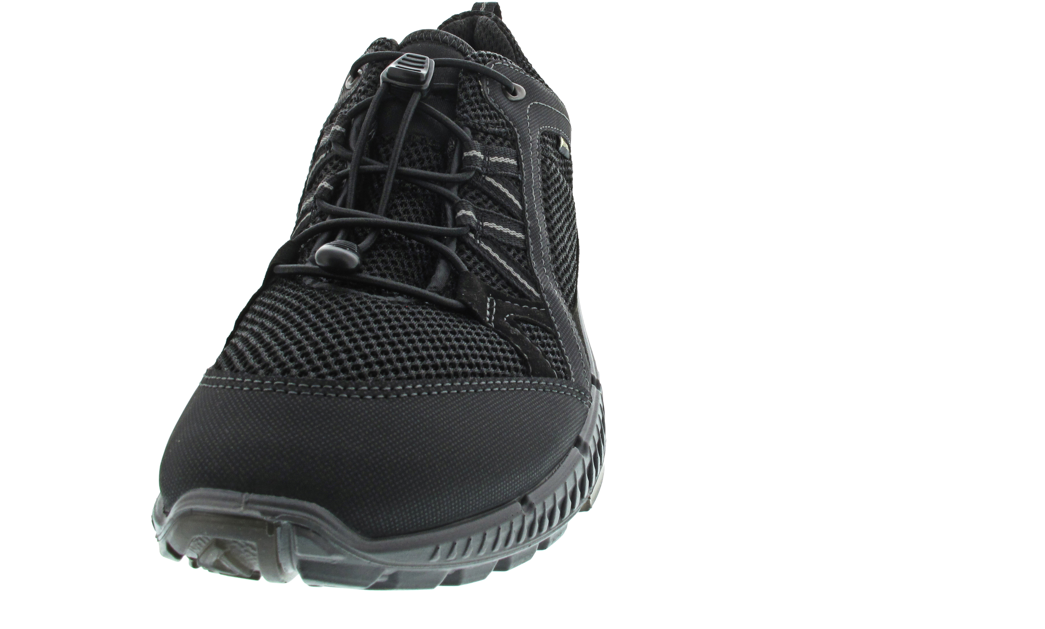 Ecco Terracruise II GTX Tex